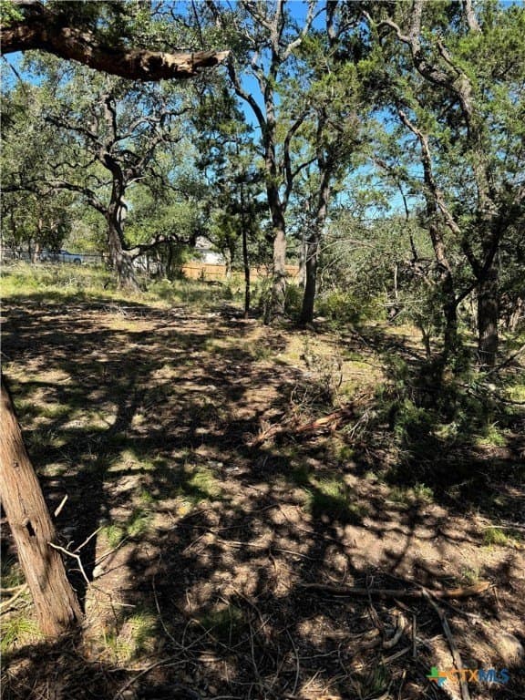 0.25 acres in Comal County - photo 3