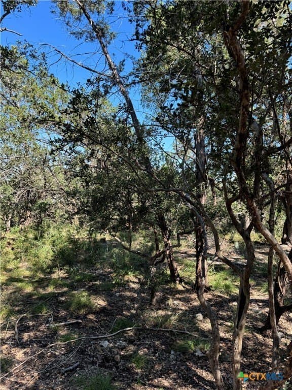 0.25 acres in Comal County - photo 5