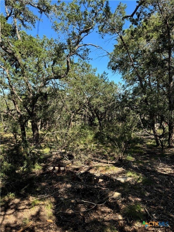 0.25 acres in Comal County - photo 4