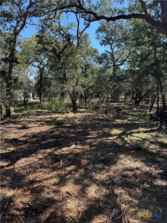 0.25 acres in Comal County - photo 2