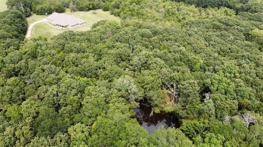 48 acres in Fannin County - photo 38