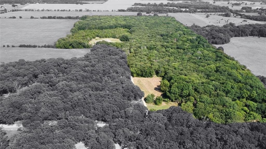 48 acres in Fannin County - photo 39