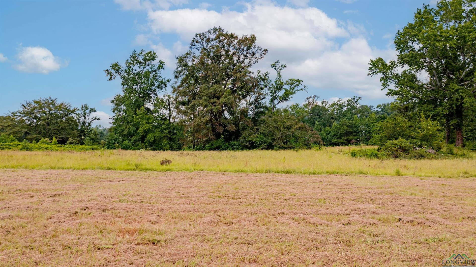 6.6 acres in Upshur County - photo 24