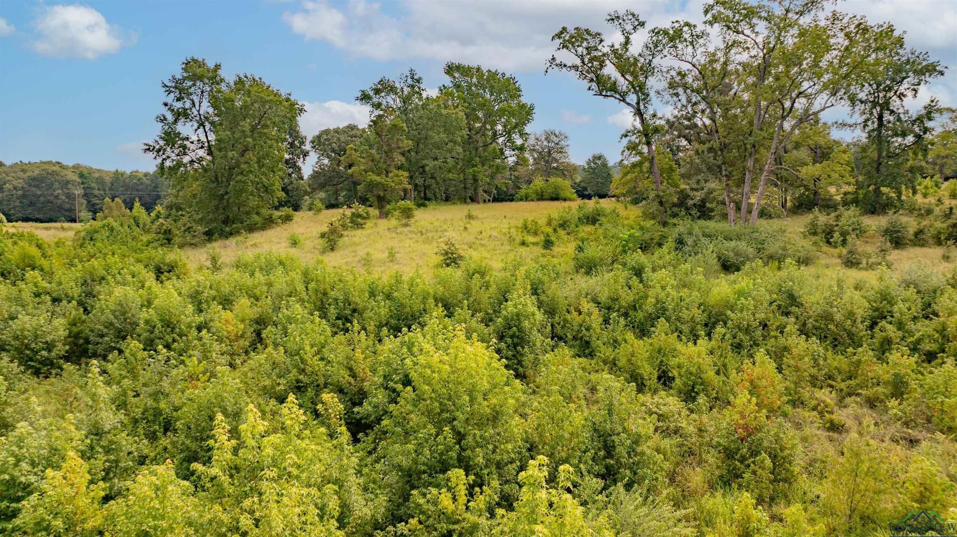 6.6 acres in Upshur County - photo 19