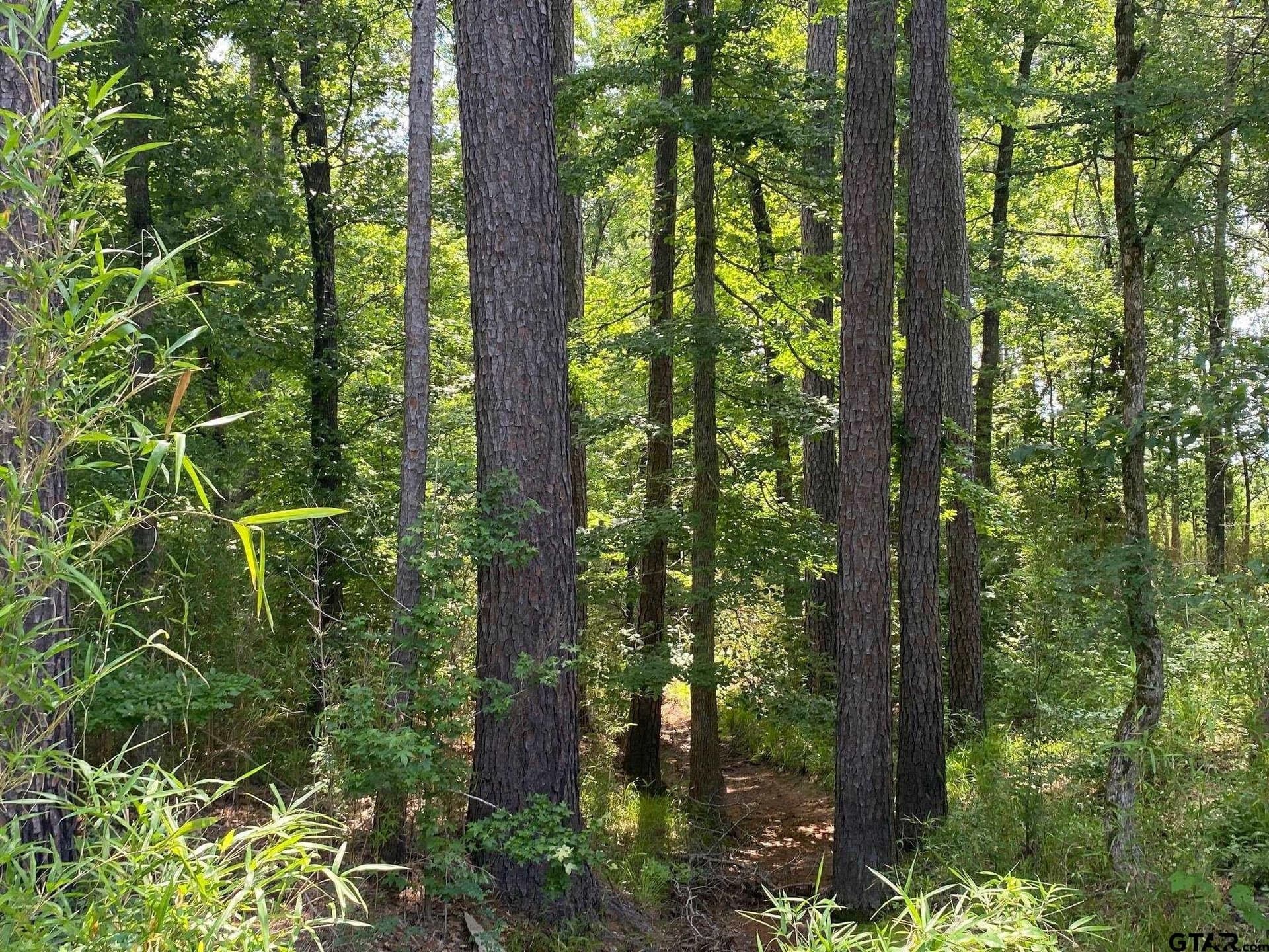 67.54 acres in Cherokee County - photo 5