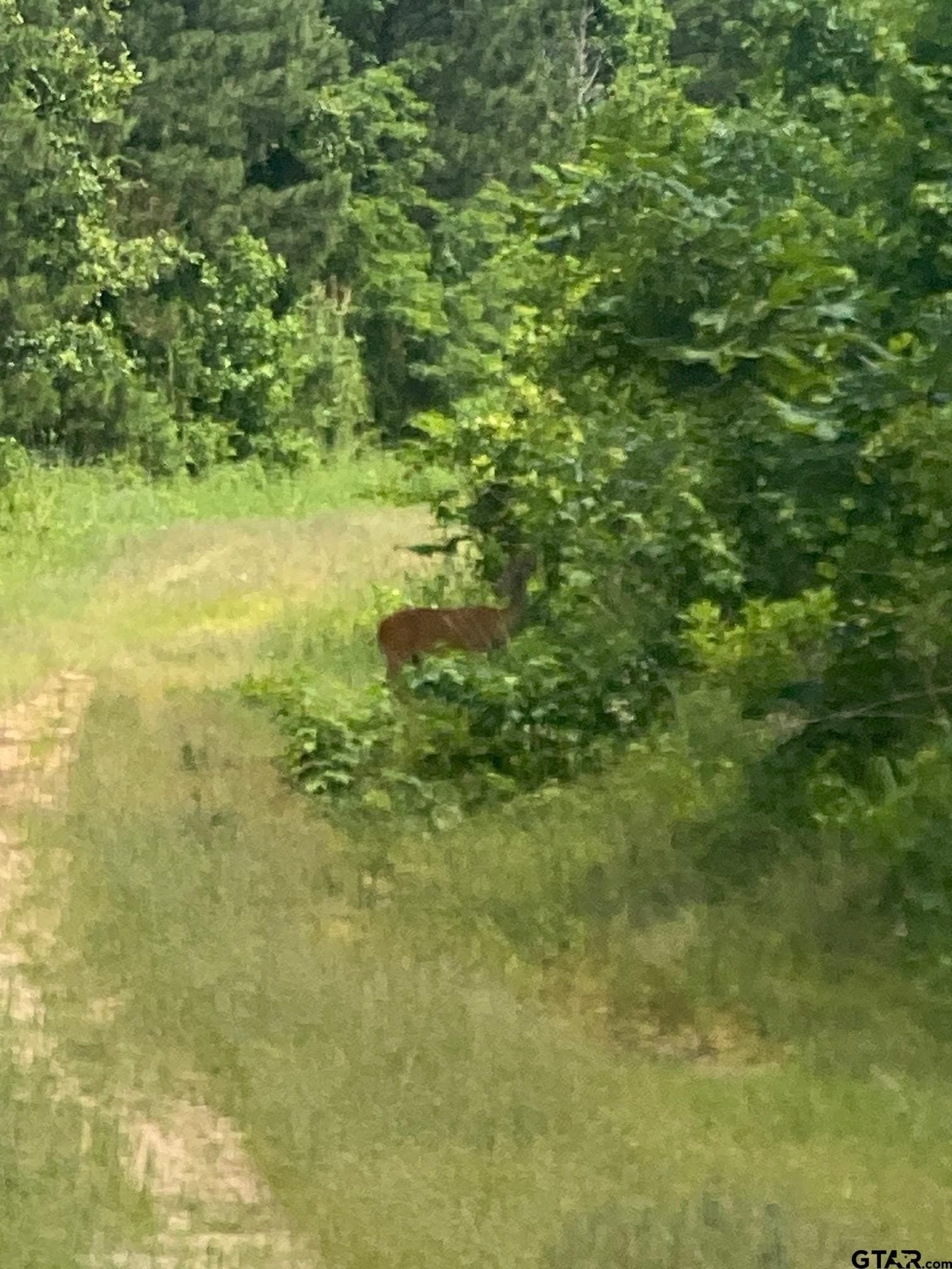 67.54 acres in Cherokee County - photo 8