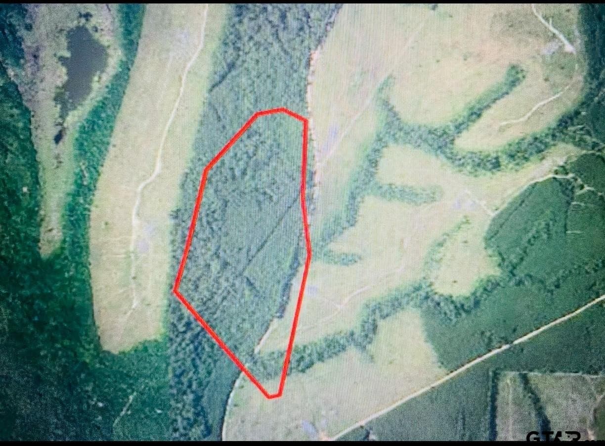 67.54 acres in Cherokee County - photo 10