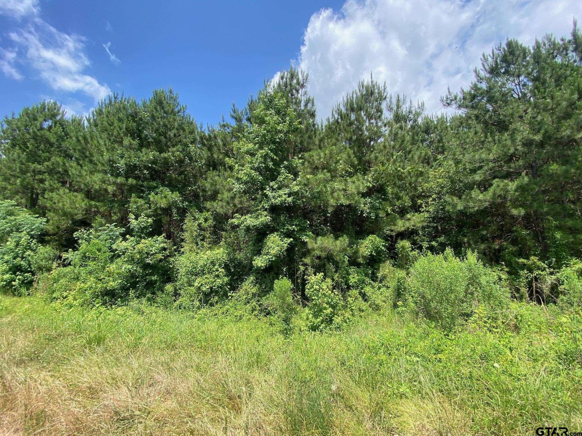 67.54 acres in Cherokee County - photo 2