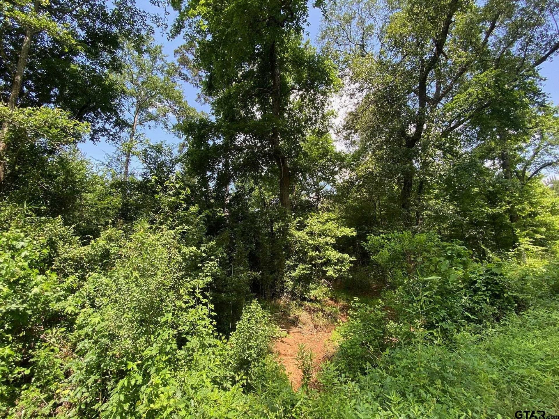 67.54 acres in Cherokee County - photo 3