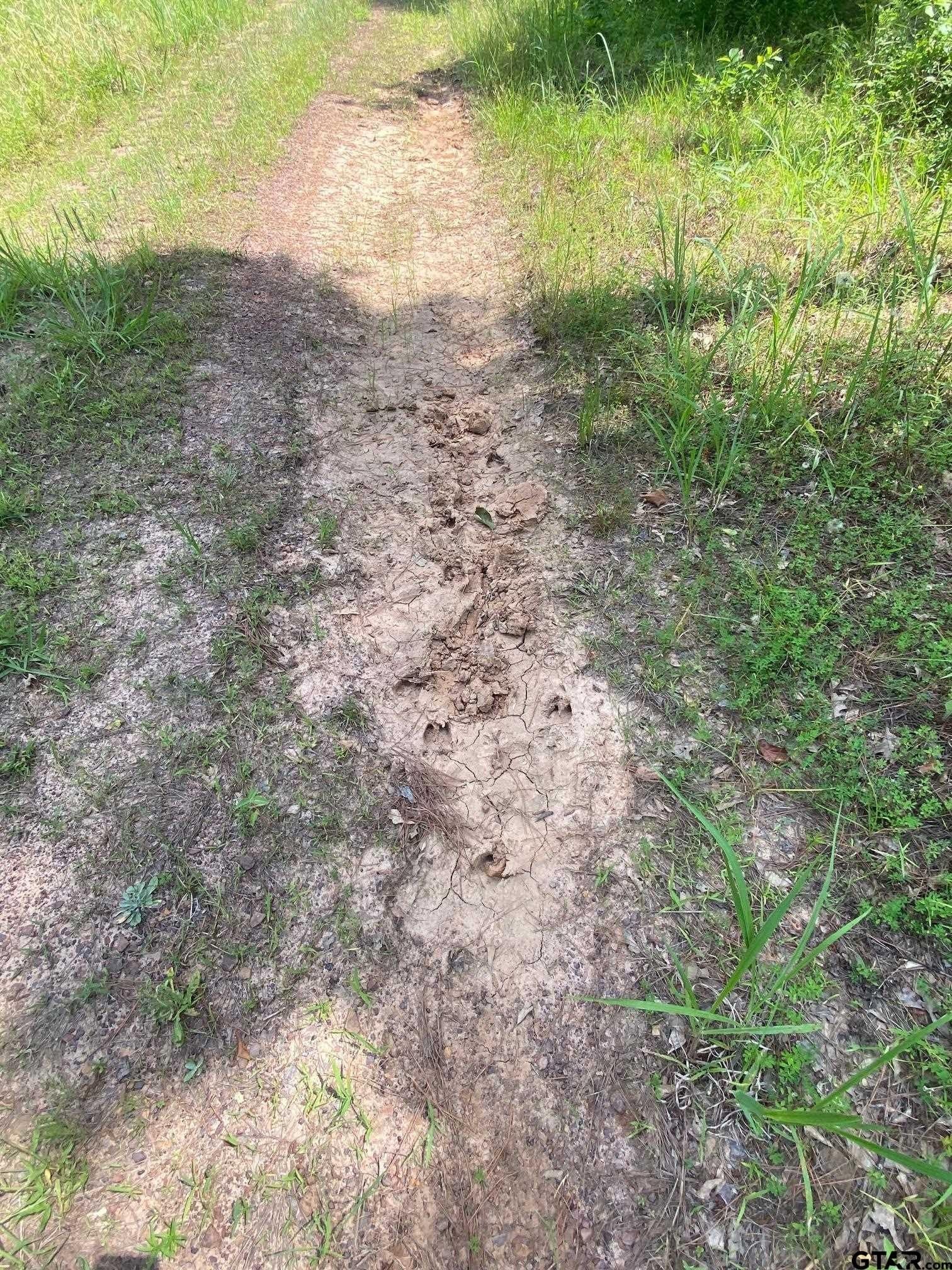 67.54 acres in Cherokee County - photo 7