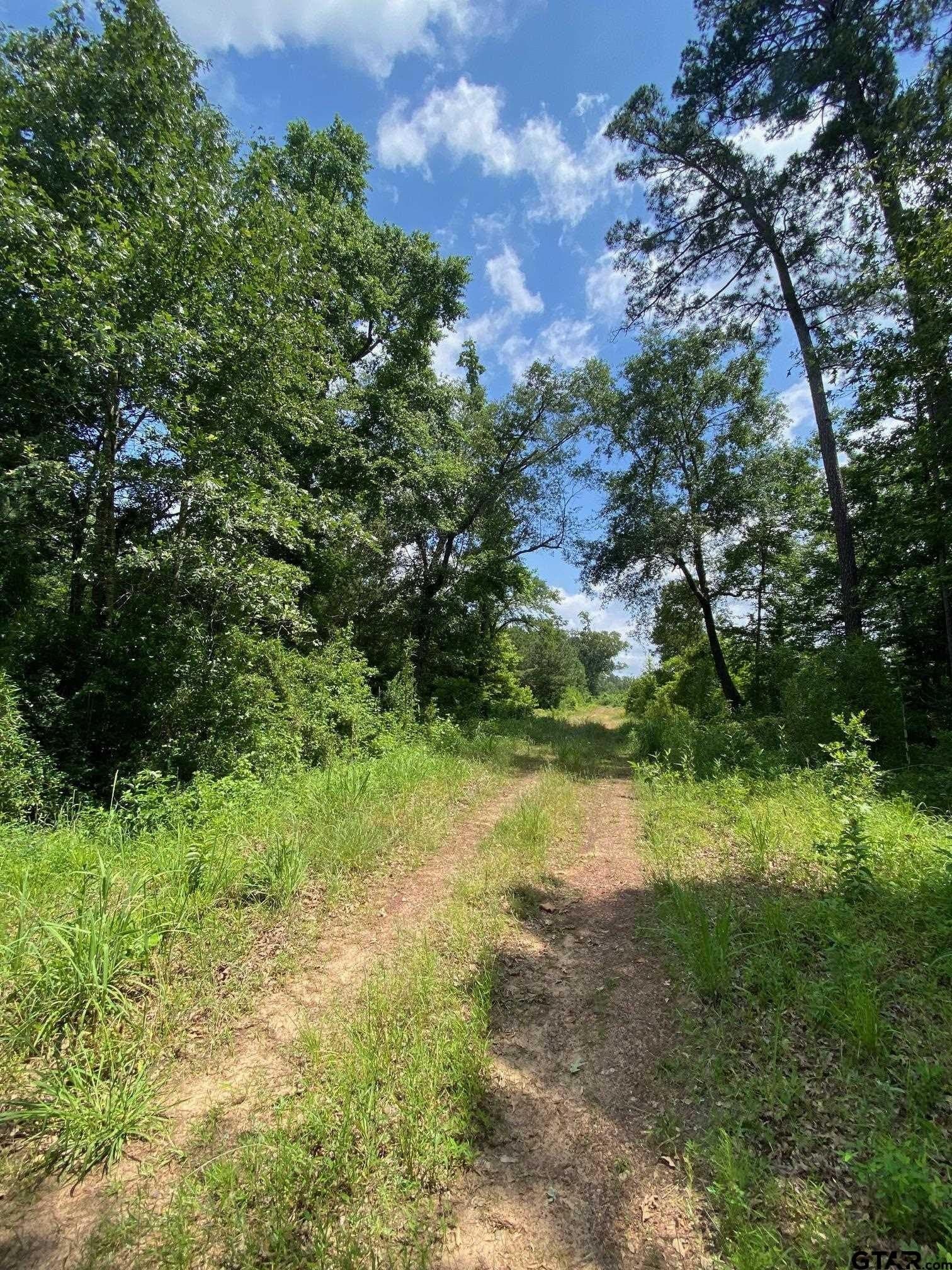 67.54 acres in Cherokee County - photo 6