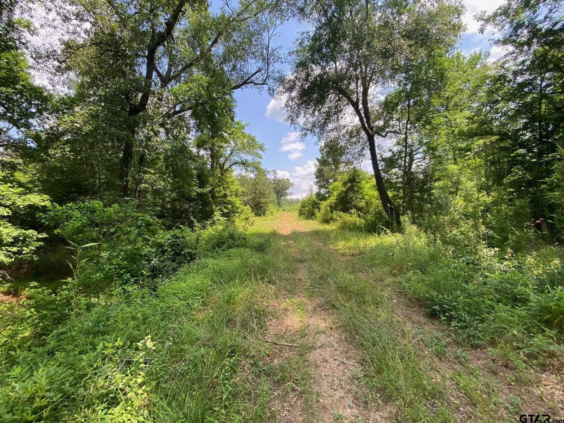 67.54 acres in Cherokee County - photo 4