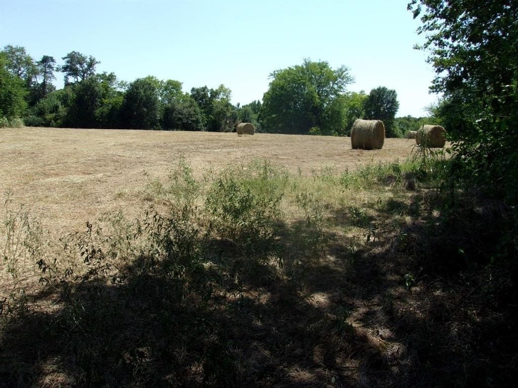 29.1 acres in Hopkins County - photo 5