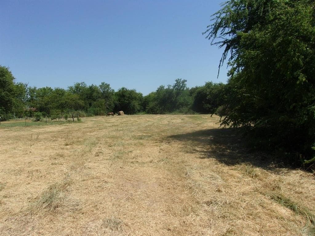 29.1 acres in Hopkins County - photo 3