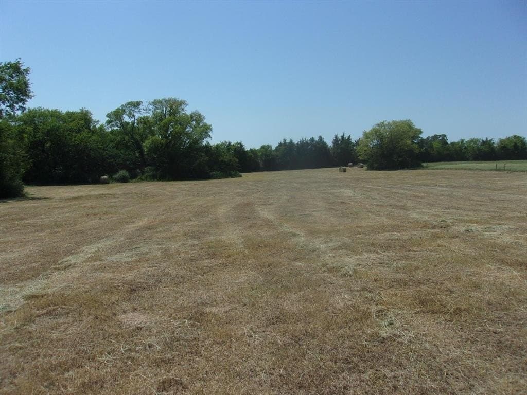 29.1 acres in Hopkins County - photo 4