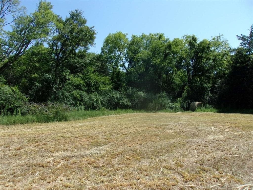 29.1 acres in Hopkins County - photo 7