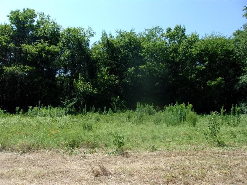 29.1 acres in Hopkins County - photo 8
