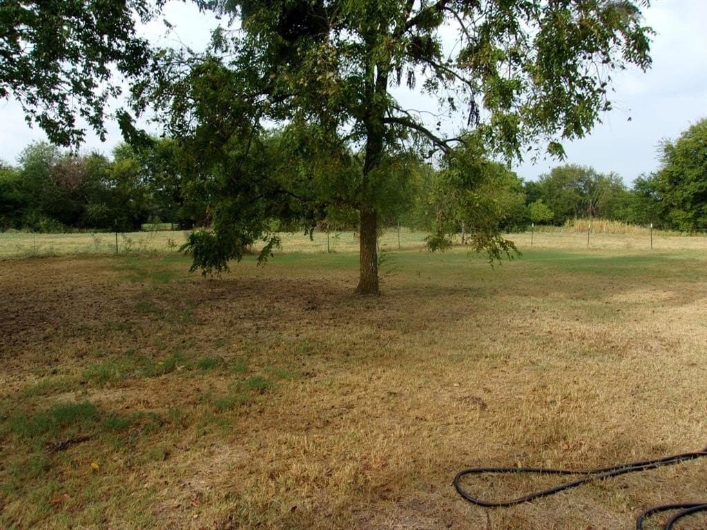 29.1 acres in Hopkins County - photo 9