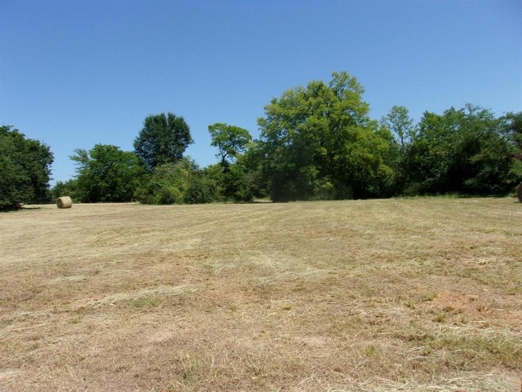 29.1 acres in Hopkins County - photo 2