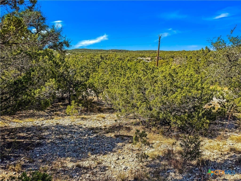 0.53 acres in Comal County - photo 3