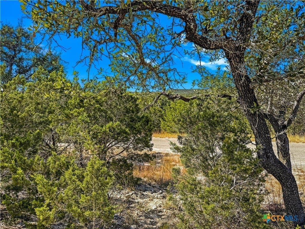 0.53 acres in Comal County - photo 2