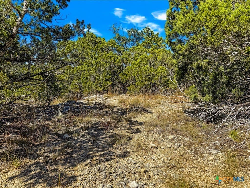 0.53 acres in Comal County - photo 8
