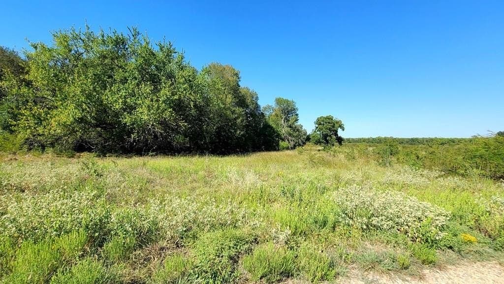 10.26 acres in Hopkins County - photo 2