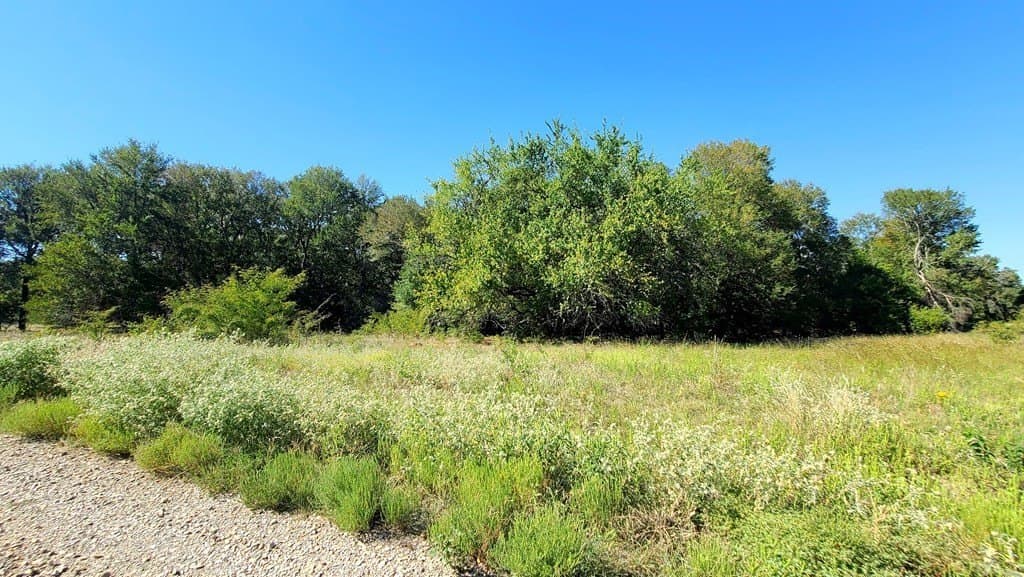 10.26 acres in Hopkins County - photo 4