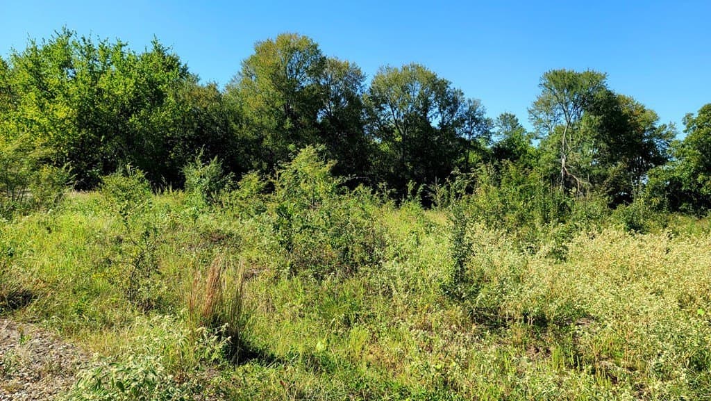 10.26 acres in Hopkins County - photo 7