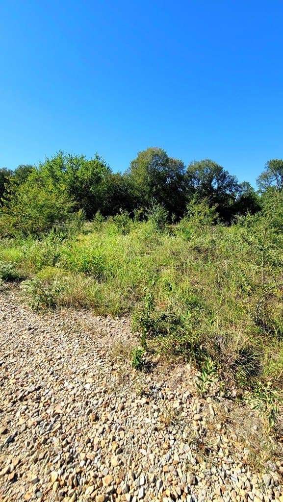 10.26 acres in Hopkins County - photo 8