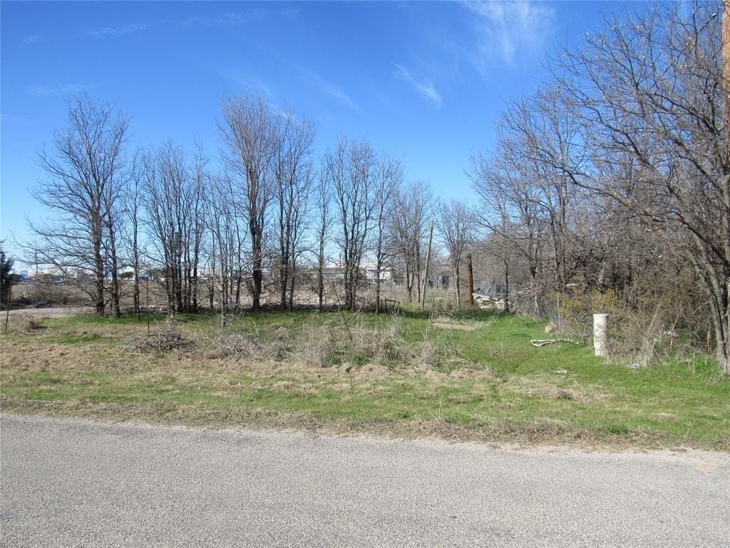 0.46 acres in Parker County - photo 5