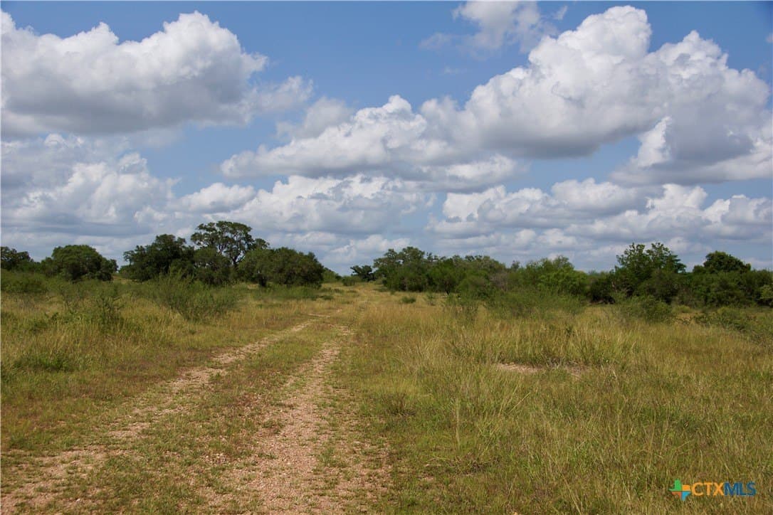74.8 acres in DeWitt County - photo 31