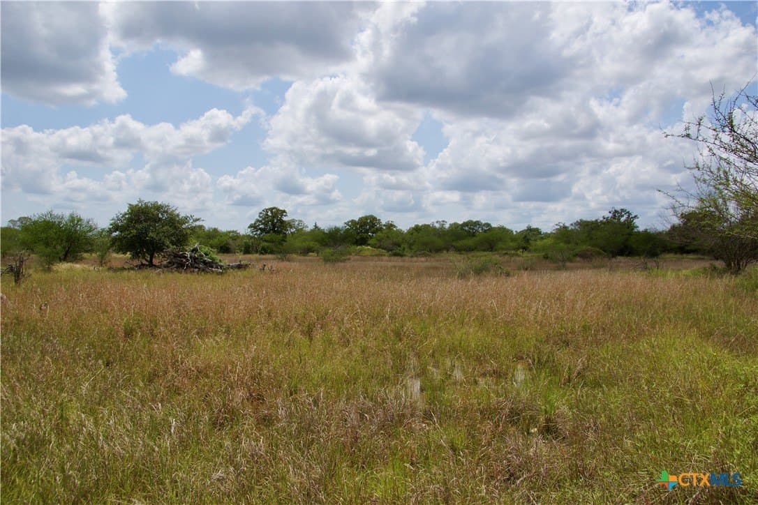 74.8 acres in DeWitt County - photo 24