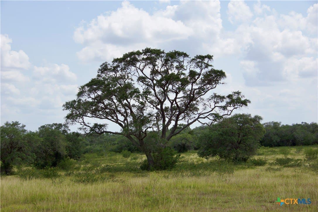 74.8 acres in DeWitt County - photo 37