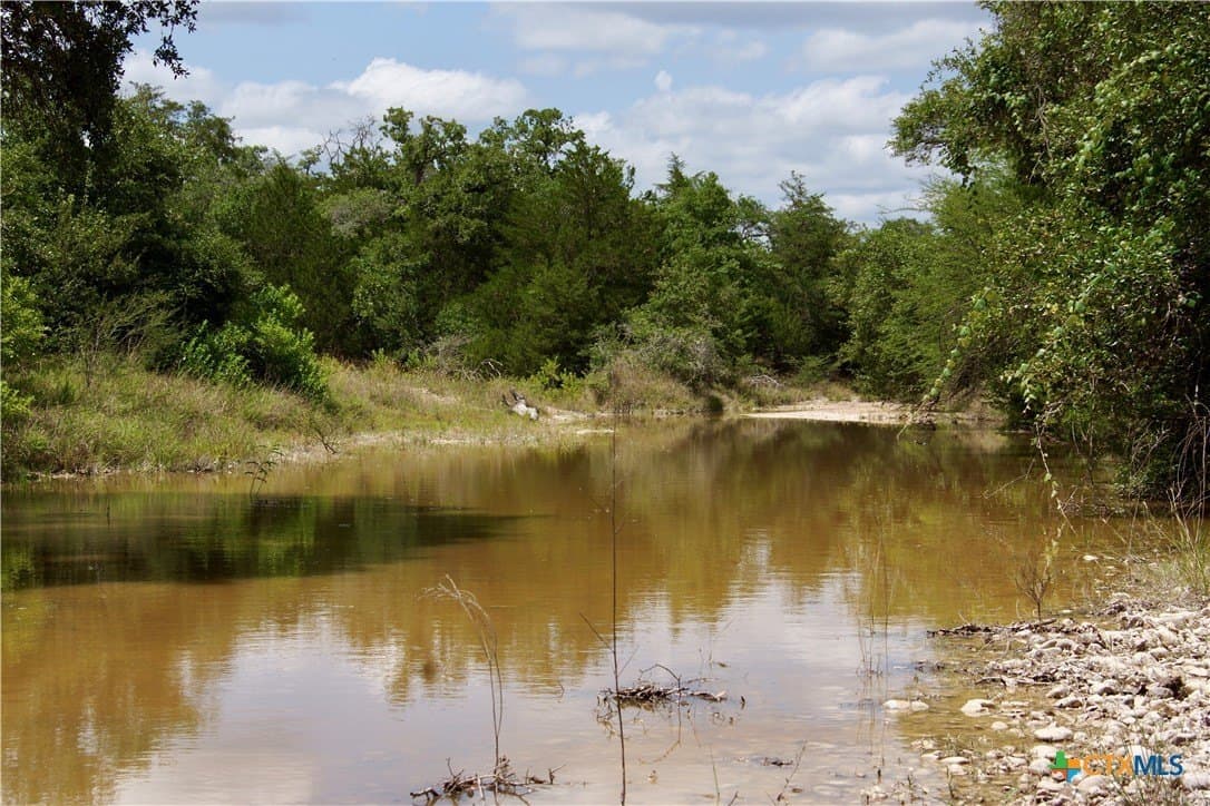 74.8 acres in DeWitt County - photo 18