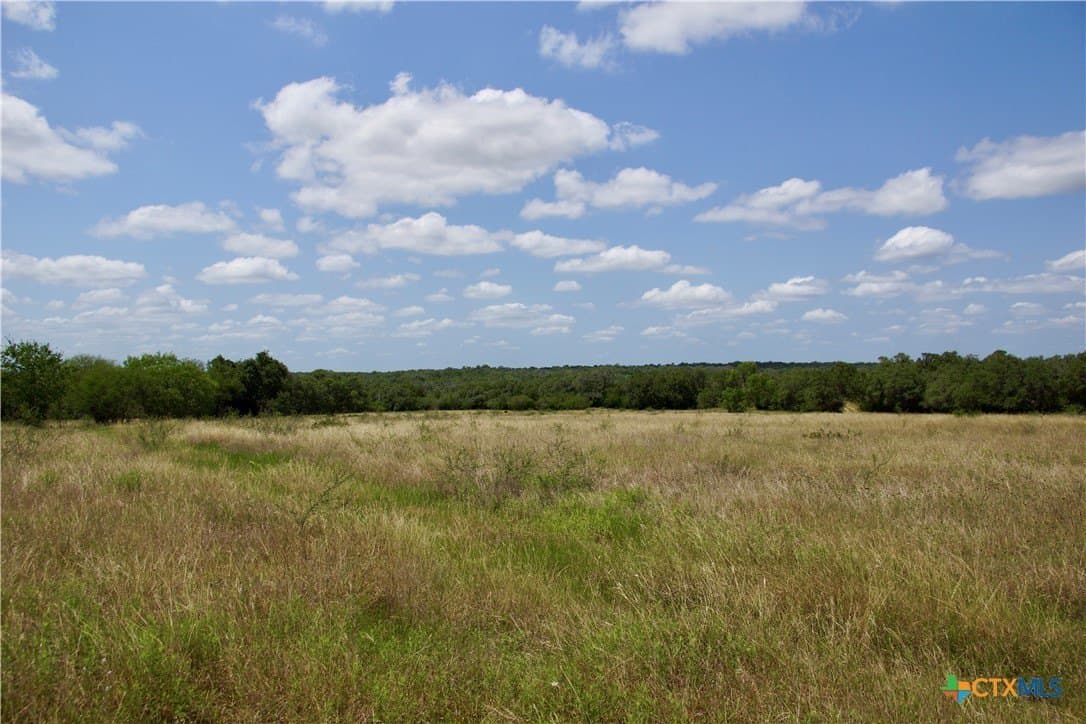 74.8 acres in DeWitt County - photo 5