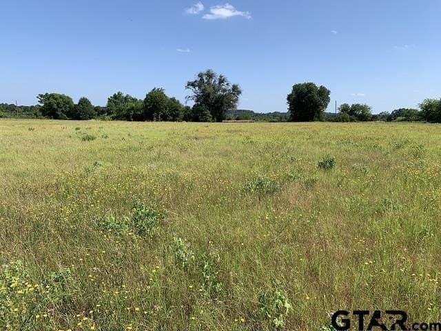 12.23 acres in Smith County - photo 7