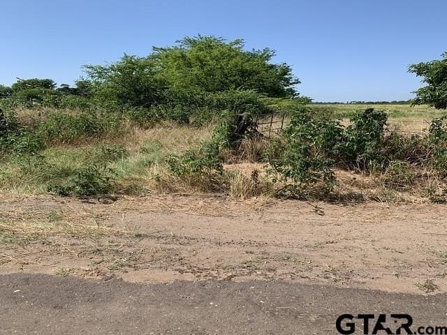 12.23 acres in Smith County - photo 3