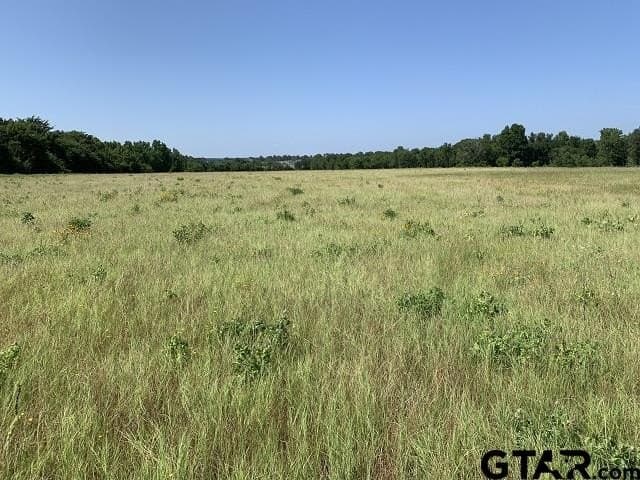 12.23 acres in Smith County - photo 4