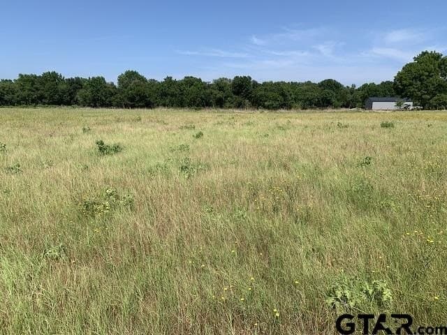 12.23 acres in Smith County - photo 5