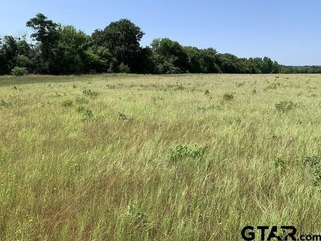 12.23 acres in Smith County - photo 6
