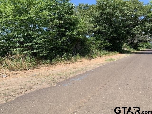 12.23 acres in Smith County - photo 2
