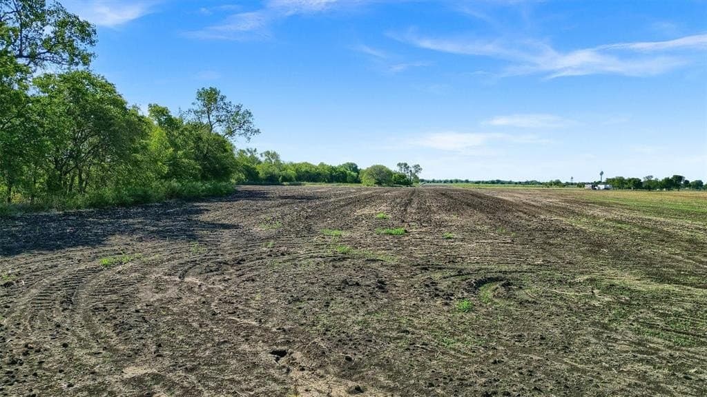 55.6 acres in Grayson County - photo 12