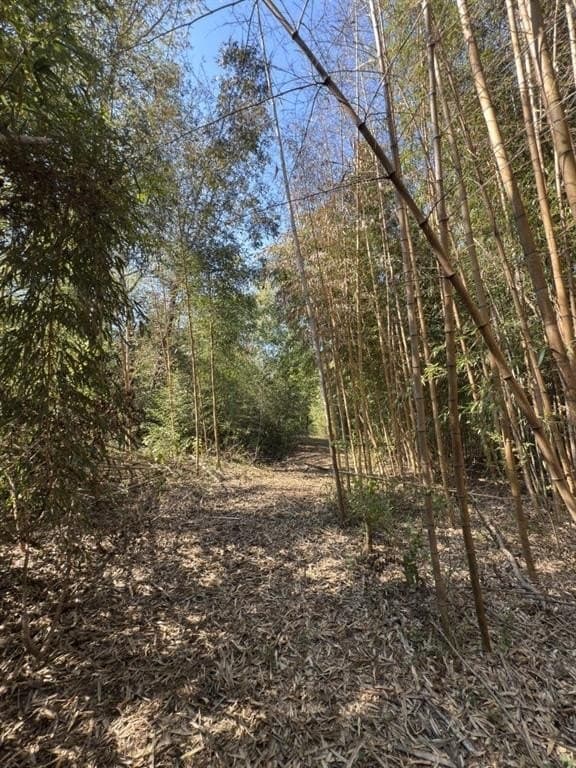 34.7 acres in Angelina County - photo 24