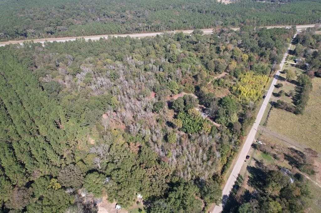 34.7 acres in Angelina County - photo 4