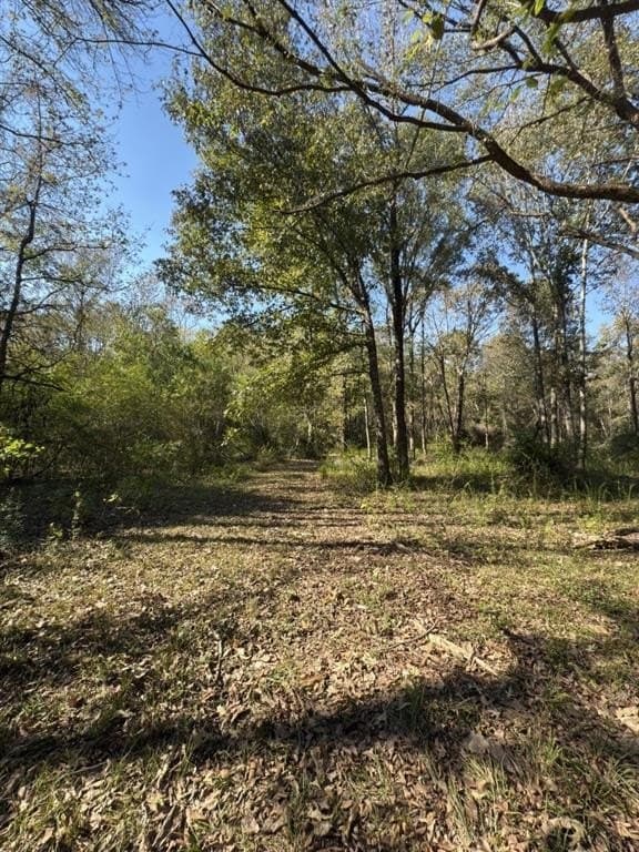 34.7 acres in Angelina County - photo 26
