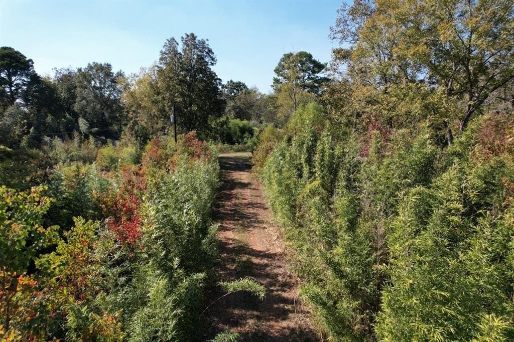 34.7 acres in Angelina County - photo 8