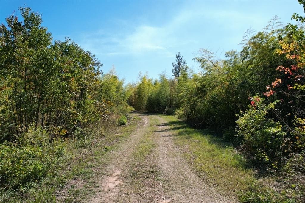 34.7 acres in Angelina County - photo 7