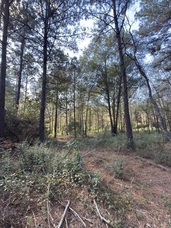 34.7 acres in Angelina County - photo 17