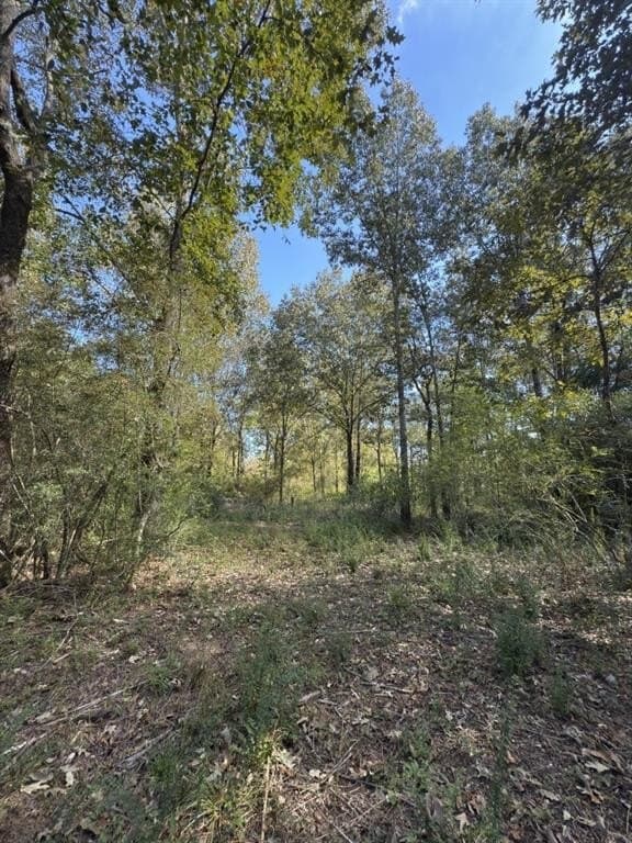 34.7 acres in Angelina County - photo 15